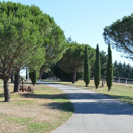 Les Moineaux Du Domaine Du Moulin Βίλα Etables  Εξωτερικό φωτογραφία